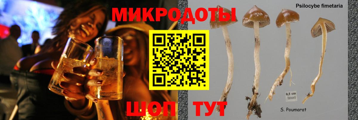 Галлюциногенные грибы Psilocybine cubensis  Вход с VPN  Галлюциногенные грибы мицелий  Богданович 